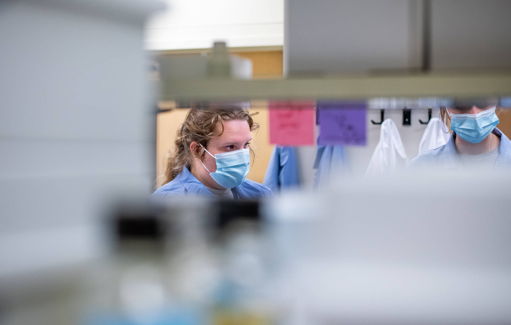 Hannah working in Lab.